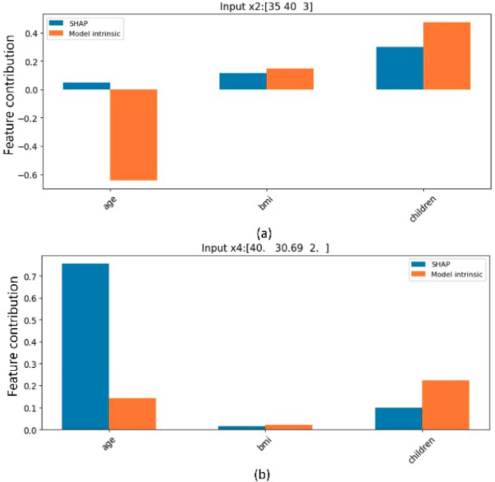 A Framework for Auditing Multilevel Models using Explainability Methods