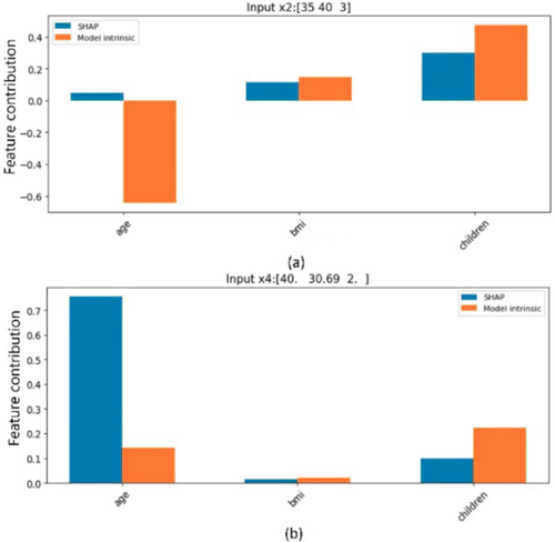 A Framework for Auditing Multilevel Models using Explainability Methods